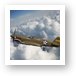 P-40 Warhawk, Flying Tigers Art Print