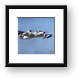 Grumman RV-1D Mohawk (Army reconaisance aircraft) Framed Print