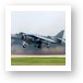 McDonnell Douglas (Hawker) AV-8B Harrier II Art Print