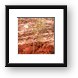 Tree clinging to the rock Framed Print