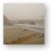 Thick fog at the airport delayed our flight two hours Metal Print