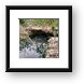Garden of Eden Cenote Framed Print