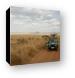 One of the Land Cruisers stopping to look at animals Canvas Print