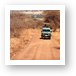 Toyota Land Cruiser - the trusty safari vehicle Art Print