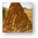 Large termite mound Metal Print
