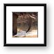 Elephant with Nile Monitor on the water bank Framed Print