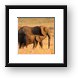 Mom, pay attention to me! Framed Print