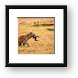 Hungry Hyena Framed Print