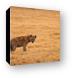 Spotted hyena Canvas Print
