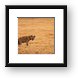 Spotted hyena Framed Print