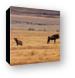 Hyena and Wildebeest, living side by side Canvas Print