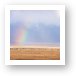 Rainbow and animals on the crater floor Art Print