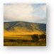 Ngorongoro Crater rim Metal Print