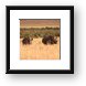 Black Rhinoceros with baby Framed Print