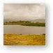 One of two hippo ponds in the crater Metal Print