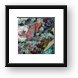 Squirrel fish and sea star Framed Print