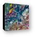 Lion fish hiding in the coral Canvas Print