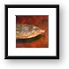 Some sort of water turtle Framed Print