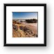 Mussels clinging to rocks at Zuma Beach Framed Print