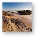 Mussels clinging to rocks at Zuma Beach Metal Print