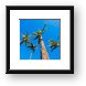 Palm Trees Framed Print