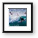 Surfer taking a wave near Honolua Framed Print