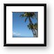 The beach at Papakea Resort Framed Print