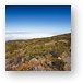 Hiking above the clouds Metal Print