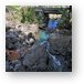 Part of Maui fresh water supply system Metal Print