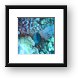 Moray eel Framed Print