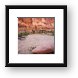 Once lush Goose Island campsite has been destroyed by fire in recent years Framed Print