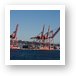 Huge ship cranes in Port of Seattle Art Print