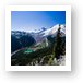 Mt. Rainier and Emmons Glacier from Sunrise Rim Trail Art Print