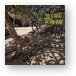 The Baths - trail to cave and Devils Bay Metal Print