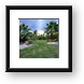 Palm trees and nice landscaping Framed Print