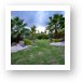 Palm trees and nice landscaping Art Print