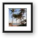 Palm trees on the resort beach Framed Print