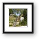 Looking Glass Bed and Breakfast funicular Framed Print