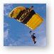Army Golden Knights Paratrooper Metal Print
