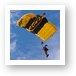 Army Golden Knights Paratrooper Art Print