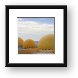 Domes on the roof of the restaurant buildings Framed Print