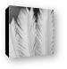 Palm leaf details in Infrared Canvas Print