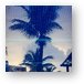 Palm tree - which way is up Metal Print