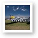 North American P-51D Mustang - Lou IV 413410 Art Print