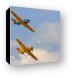North American T-6 Texans in formation Canvas Print