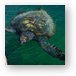 Leatherback Sea Turtle Metal Print