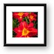 Day Lilies Framed Print