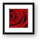 A Rose for Valentine's Day Framed Print