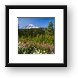 Mount Rainier Framed Print