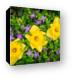 Three Daffodils in Blooming Periwinkle Canvas Print